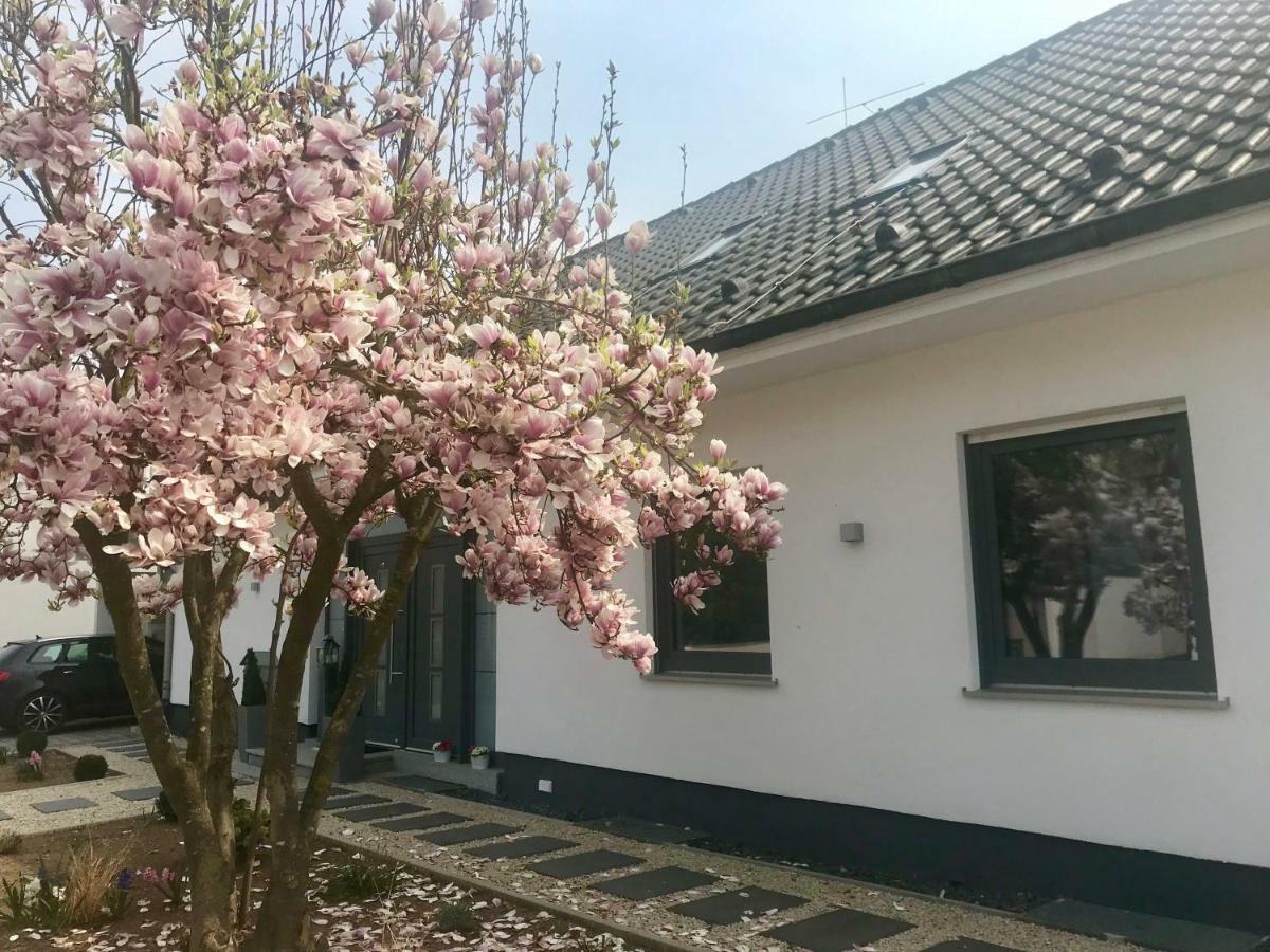 Weinurlaub Apartment Sulzfeld am Main Exterior photo